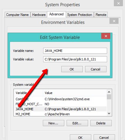Java system properties and environment variables
