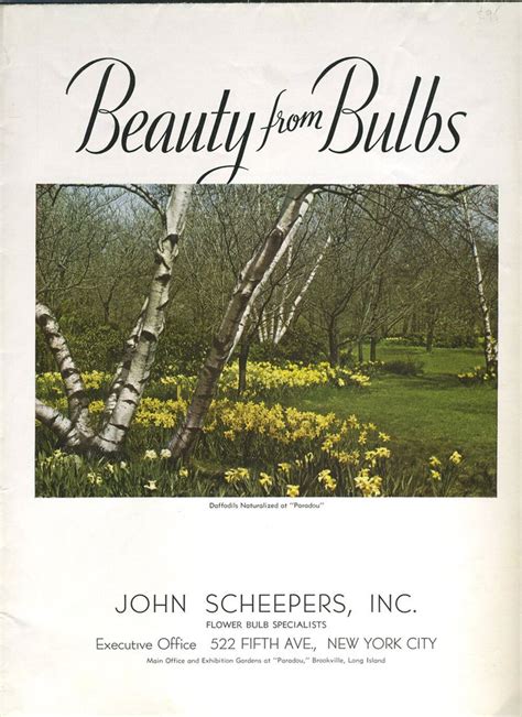 John Scheepers Catalog
