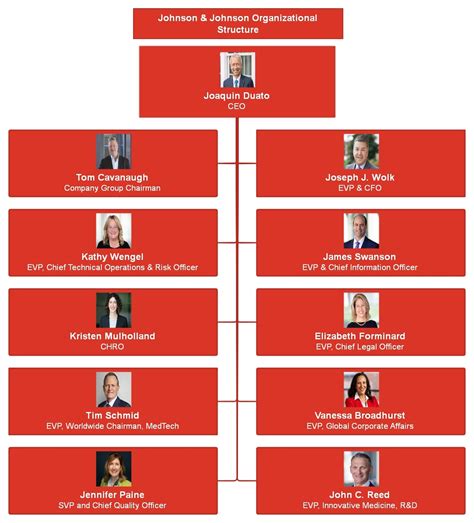 Johnson And Johnson Chart