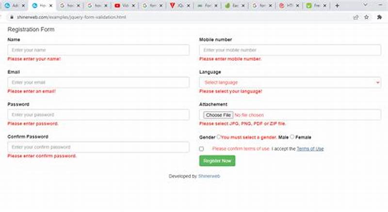 Jquery Form Input Validation
