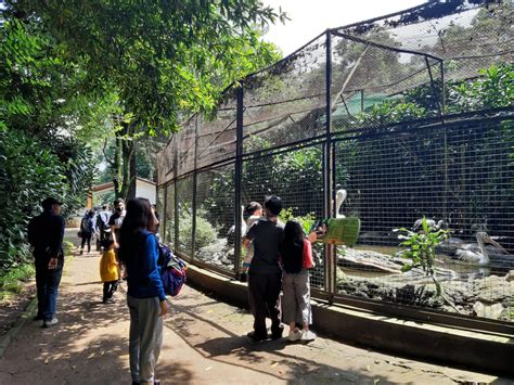 Kandang Reptil di Kebun Binatang Bandung