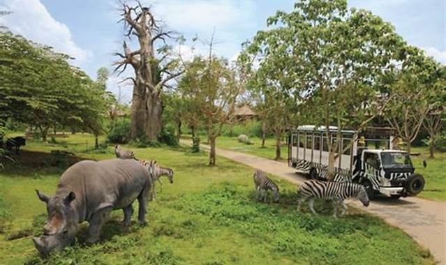 Kawasan Wisata Taman Safari Jawa Barat