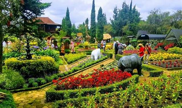 Kebun Bunga Terindah di Lembang Bandung