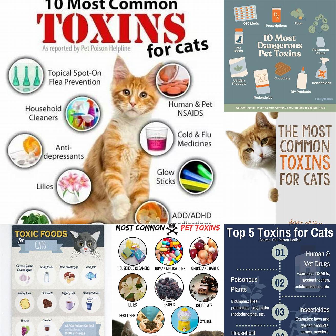 Keep Toxins Out of Reach