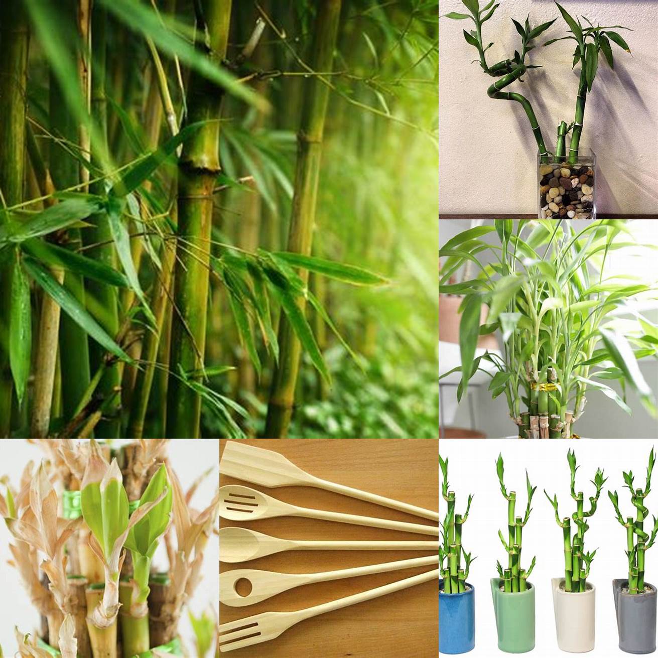 Keep bamboo products away from direct sunlight and moisture