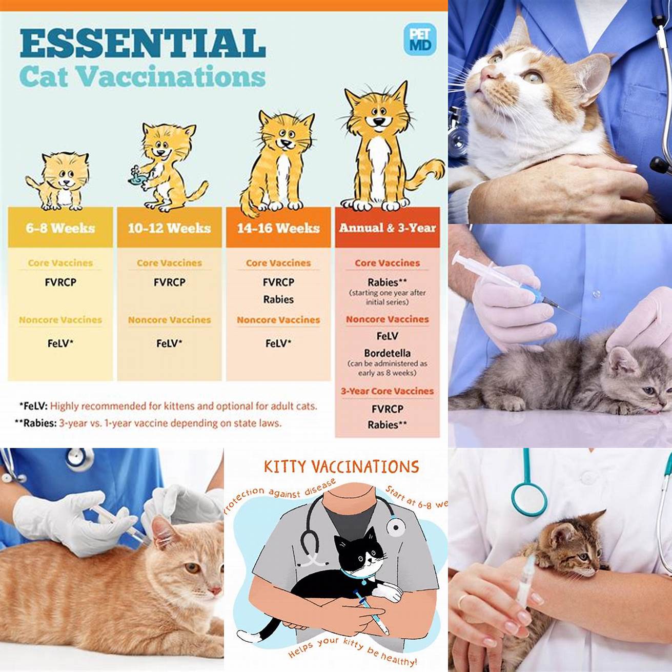 Keep your cat up-to-date on vaccinations Ensure that your cat is up-to-date on all of their vaccinations including the tetanus shot