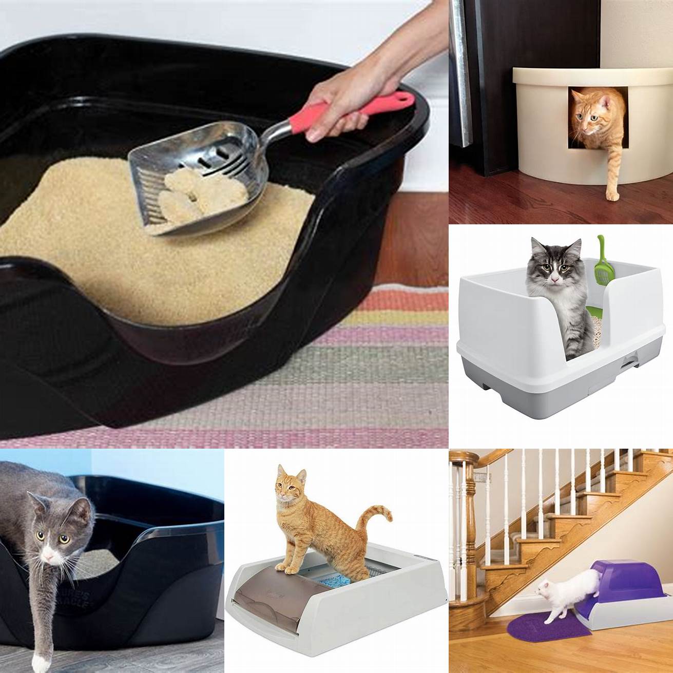 Keep your cats litter box clean and easily accessible