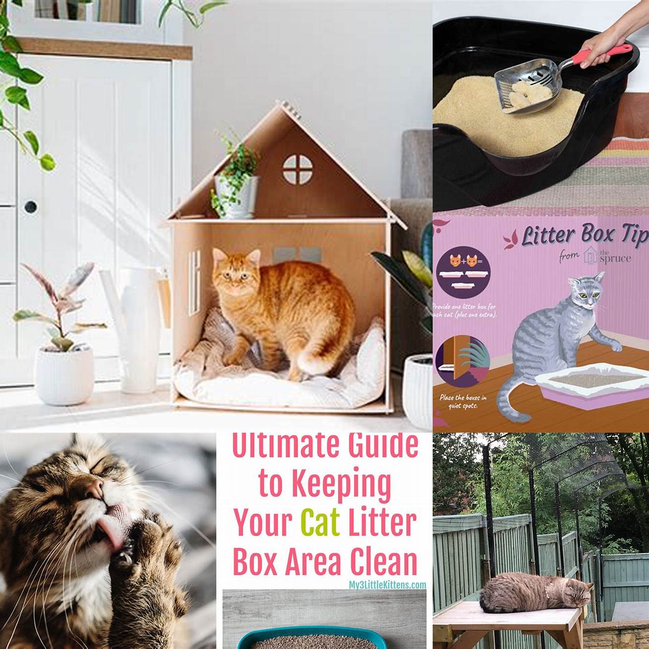 Keep your cats living areas clean