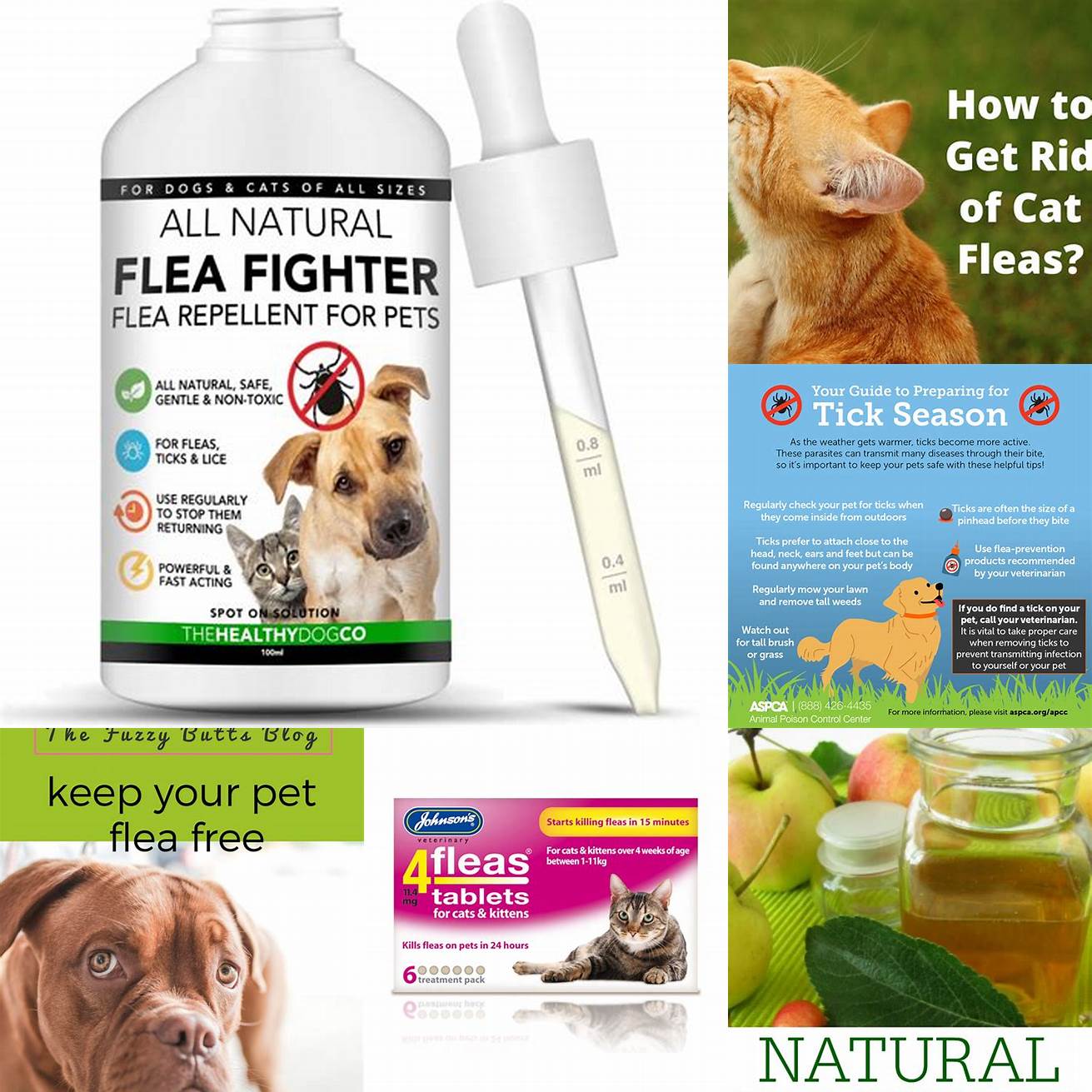 Keep your pets flea-free