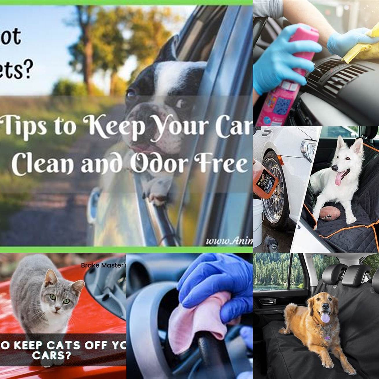 Keeps your car clean