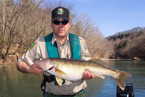 Kentucky Fishing Industry