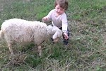 Kids Play with Sheep