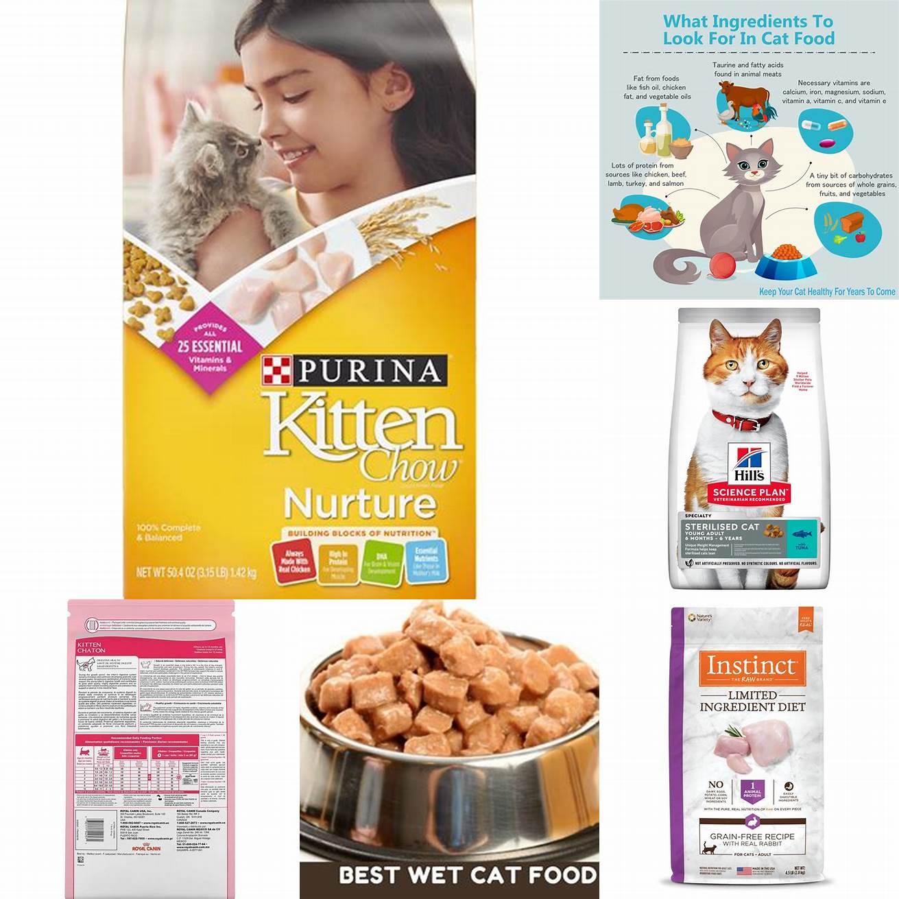 Kitten food ingredients