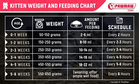Kitten Weight Feeding Chart