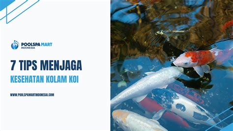 Koi Sehat