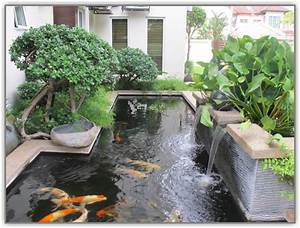 desain kolam ikan depan rumah