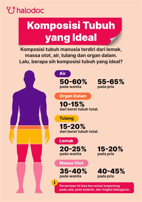 Komposisi Tubuh