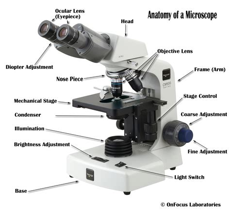 Microscope Parts