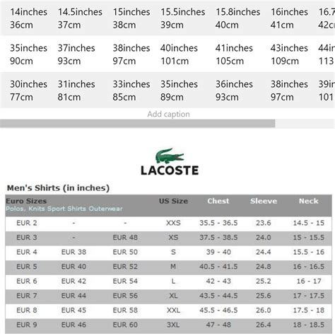 Lacoste Polo Size Chart