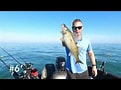 Lake Erie Walleye Fall Brawl