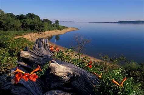 Lake Texoma Offers a Change of Scenery