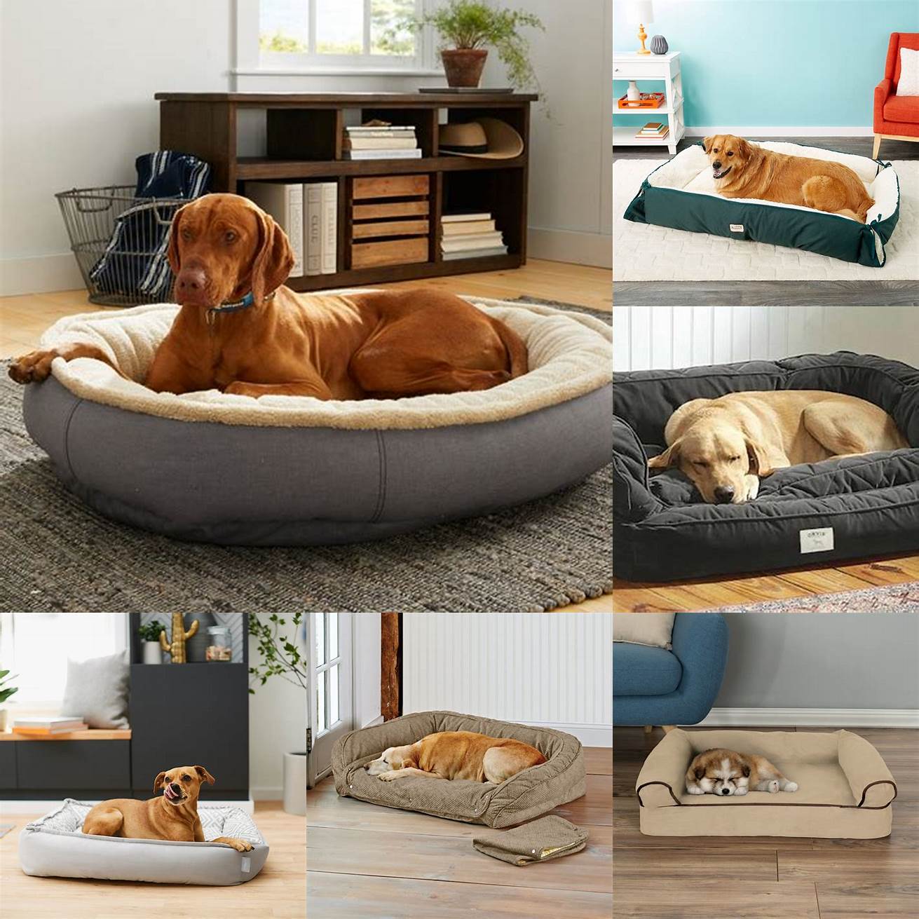 Large Dog Bed with Bolsters