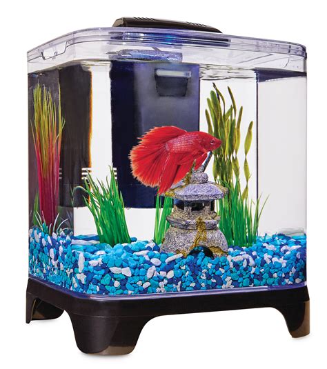 Large Betta Fish Tanks with Built-In Filtration Systems