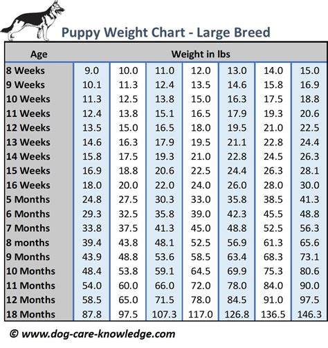 Large Breed Puppy Weight Chart