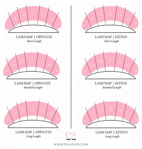 Lash Cluster Map Template