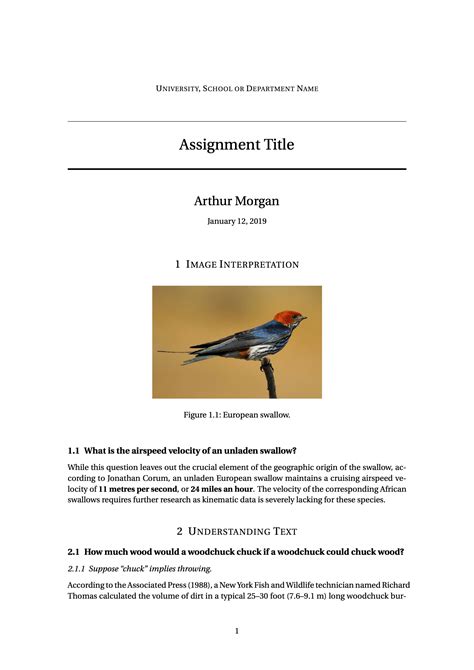 Latex Assignment Template