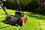 Lawn Care Business Video