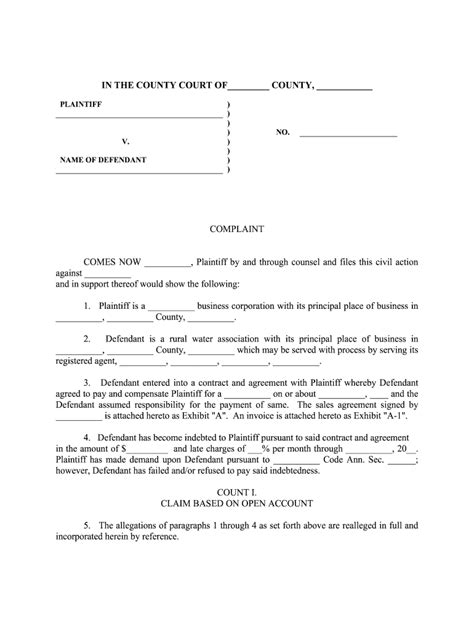 Lawsuit Filing Template