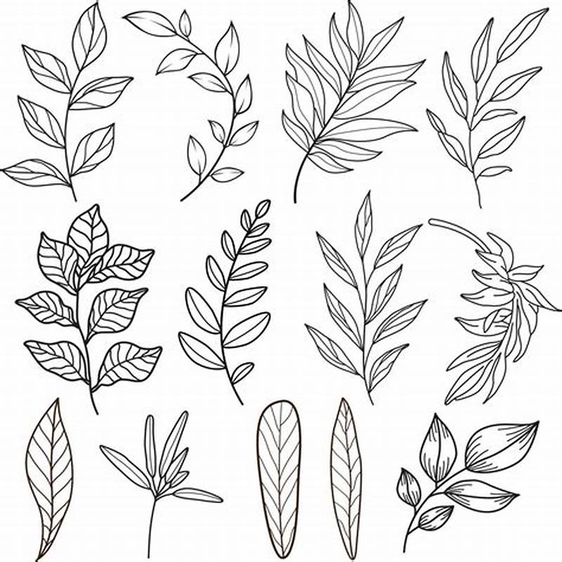 Leaf Pattern Drawing