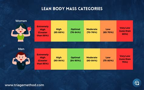 Lean Body Mass Chart