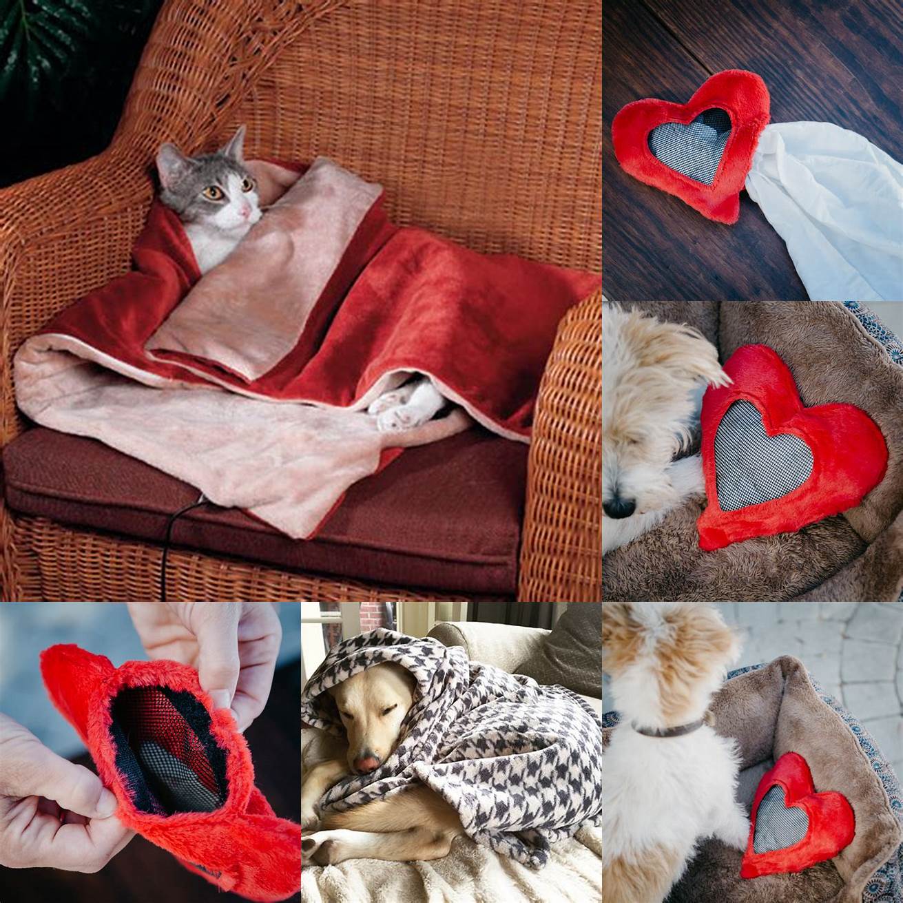 Leave a piece of clothing or blanket with your scent to comfort your cat