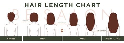 Length Of Hair Chart