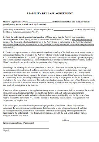 Liability Agreement Template