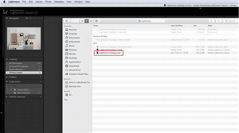 Lightroom How To Export Catalog To Another Computer