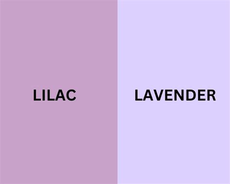 Perbedaan Warna Lilac Dan Lavender