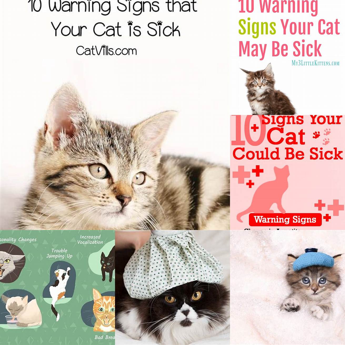 Limit contact with your cat if you are sick