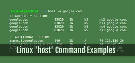 Linux command to translate domain name to IP closed