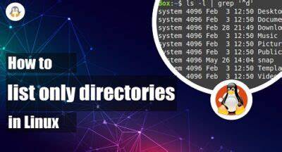 Listing only directories in UNIX