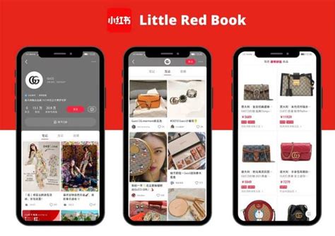 Little Red Book App Target Audience