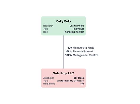 Llc Organizational Structure Chart
