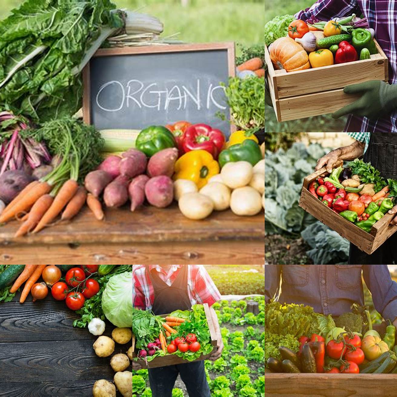 Local and organic produce