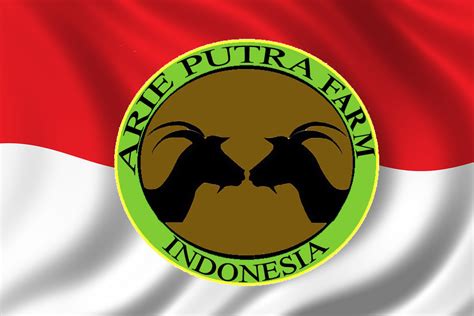 Logo Peternakan Domba Indonesia