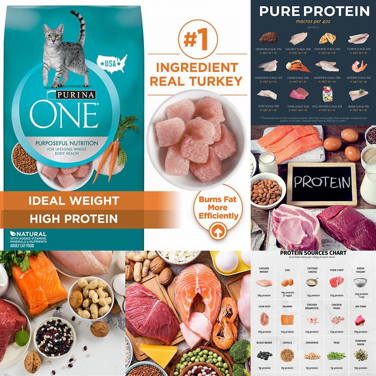 Look for foods with high-quality protein sources