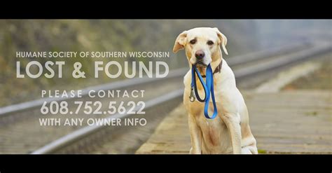 Lost and Found