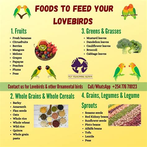 Makanan Lovebird