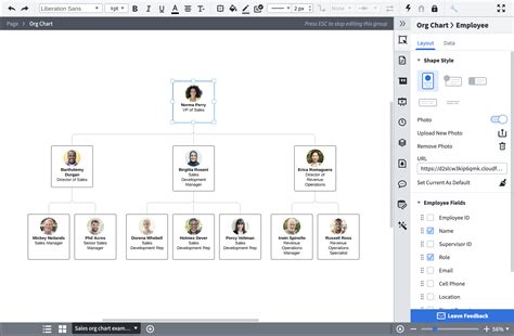 Lucidchart Org Chart